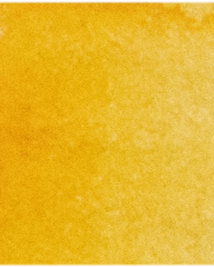 Cadmium Yellow Deep - Michael Harding