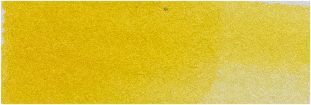 Turners Yellow