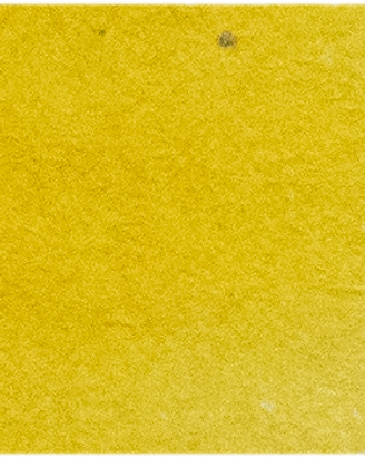Turners Yellow