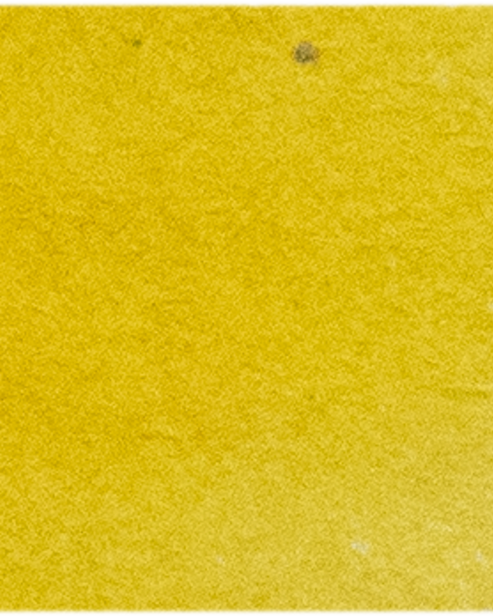 Turners Yellow - Michael Harding
