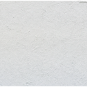 Chinese White - Michael Harding