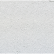Chinese White