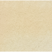 Warm Light Yellow