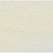 Warm White