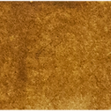 Raw Sienna Light - Michael Harding