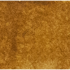 Raw Sienna Light
