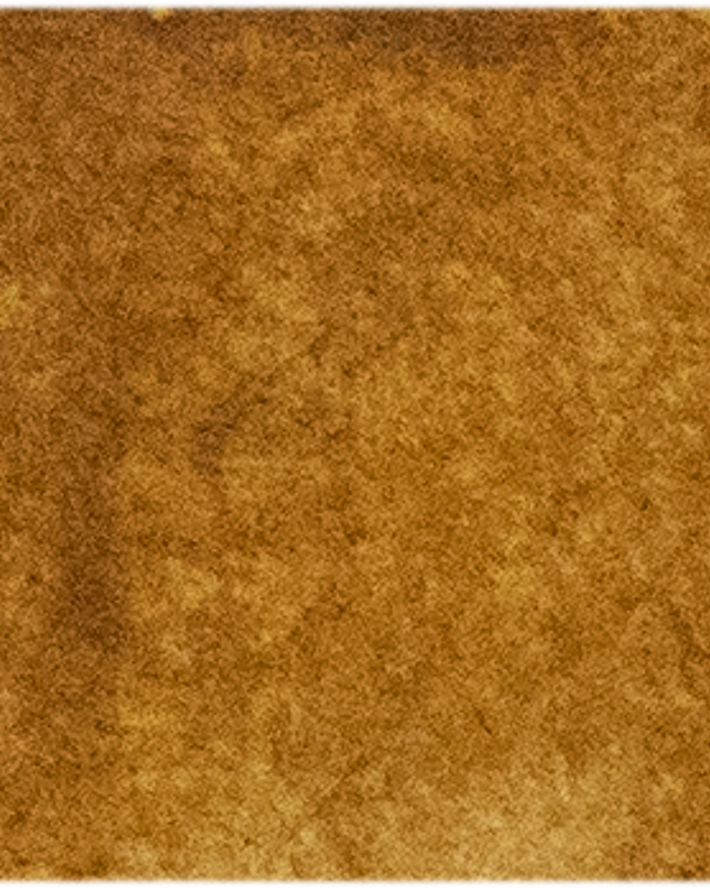 Raw Sienna Light - Michael Harding