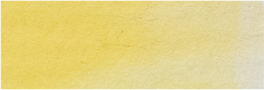 Warm Yellow