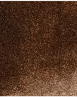 Burnt Umber