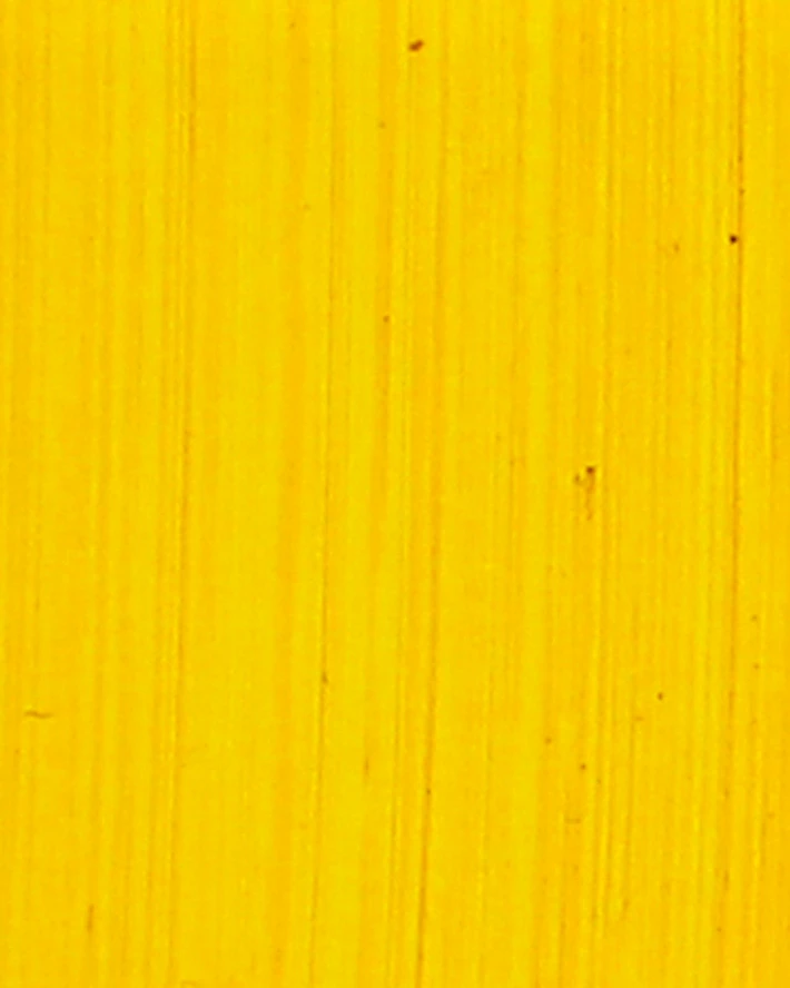 Bright Yellow Lake - Michael Harding