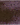 Perylene Violet