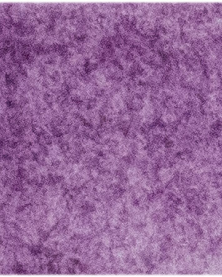 Manganese Violet - Michael Harding