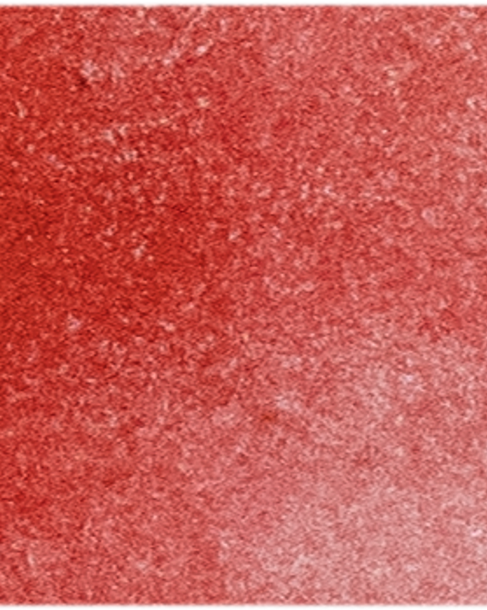 Pyrrole Red - Michael Harding