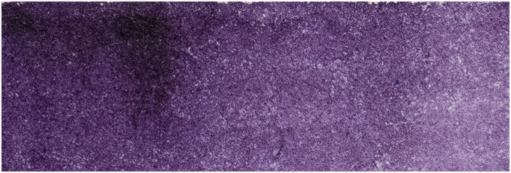Belladonna