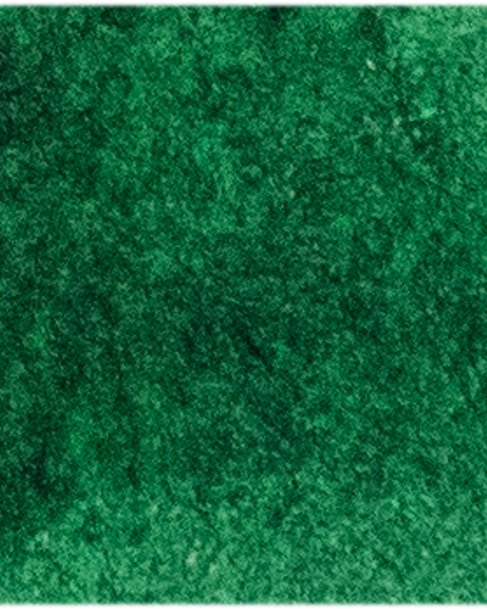 Phthalo Green Yellow Shade - Michael Harding