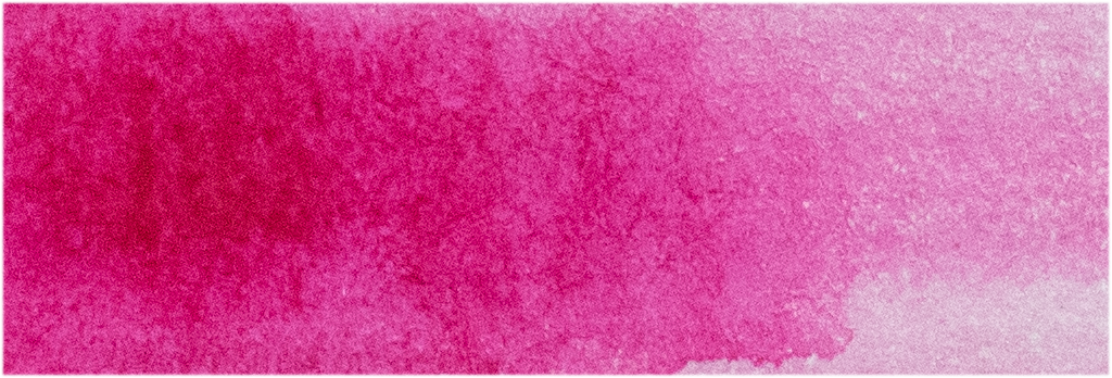 Opera Rose