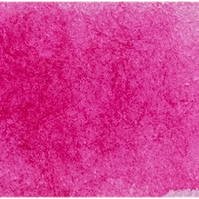 Opera Rose - Michael Harding