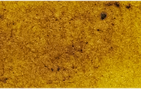 Masstone swatch