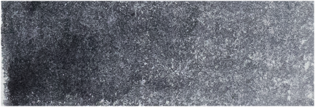 Neutral Tint
