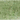 Italian Green Umber - Michael Harding