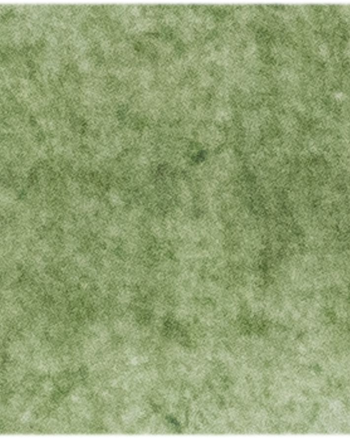 Italian Green Umber - Michael Harding