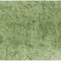 Italian Green Umber - Michael Harding