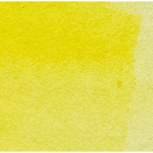 Cadmium Yellow Lemon - Michael Harding