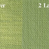NAAP Olive Green