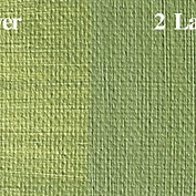 NAAP Olive Green