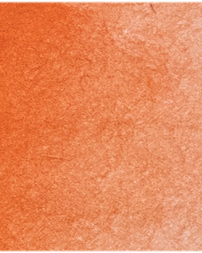 Cadmium Orange - Michael Harding