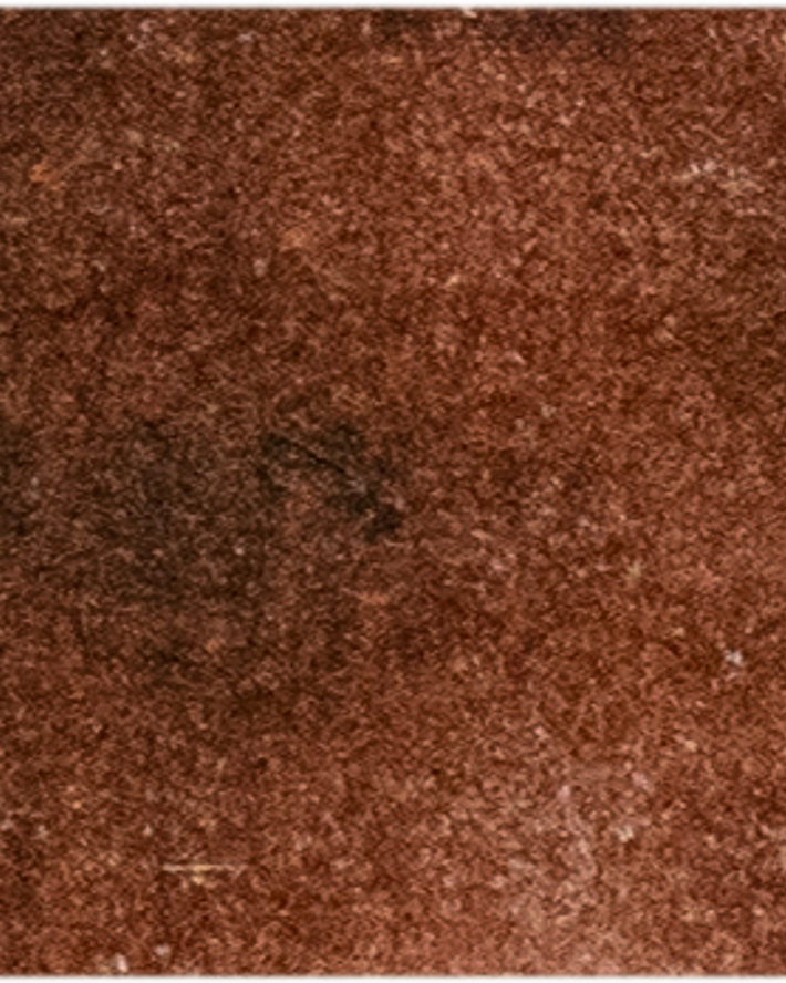 Permanent Brown - Michael Harding