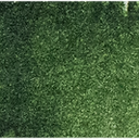 Hookers Green