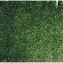 Hookers Green