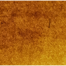 Quinacridone Gold watercolour swatch
