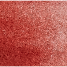 Cadmium Red  - Michael Harding