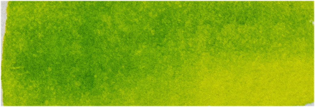 Bright Green Lake