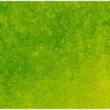 Bright Green Lake - Michael Harding
