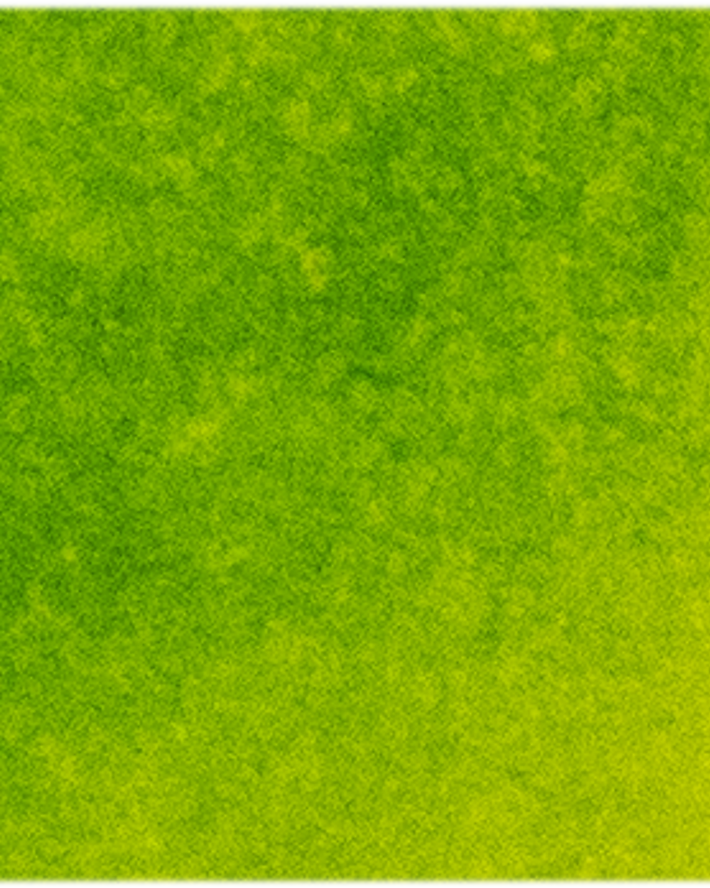 Bright Green Lake - Michael Harding