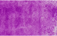 Masstone swatch