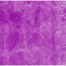 Cobalt Violet Light - Michael Harding