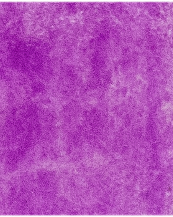 Cobalt Violet Light - Michael Harding