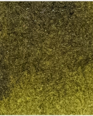 Moss Green