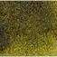 Moss Green
