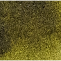 Moss Green - Michael Harding