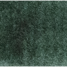 Forest Green - Michael Harding