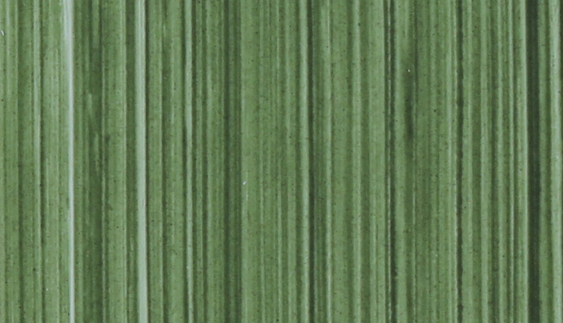 Terre Verte