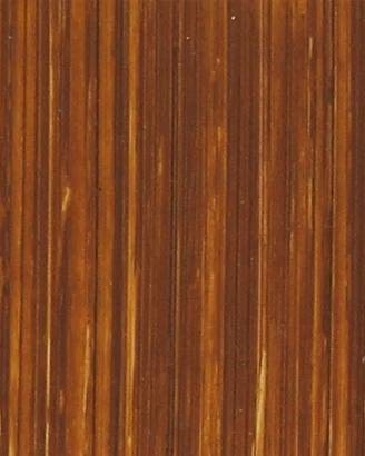 Raw Sienna
