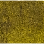Green Gold