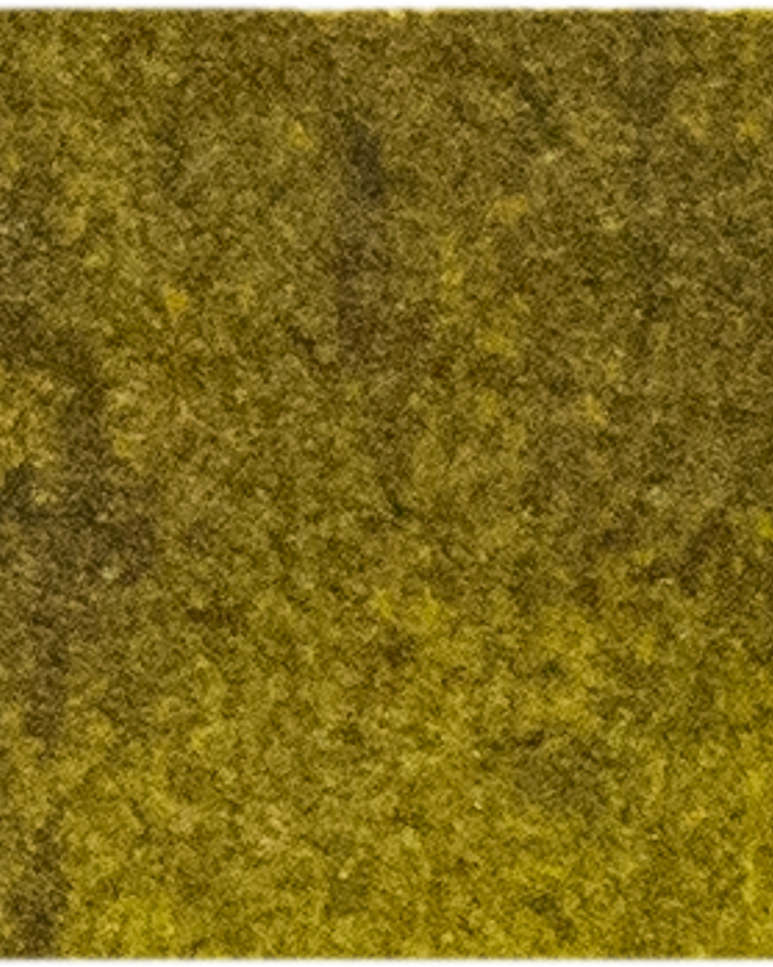 Green Gold - Michael Harding