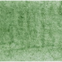 Terre Verte